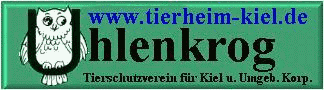 www.tierheim-kiel.de